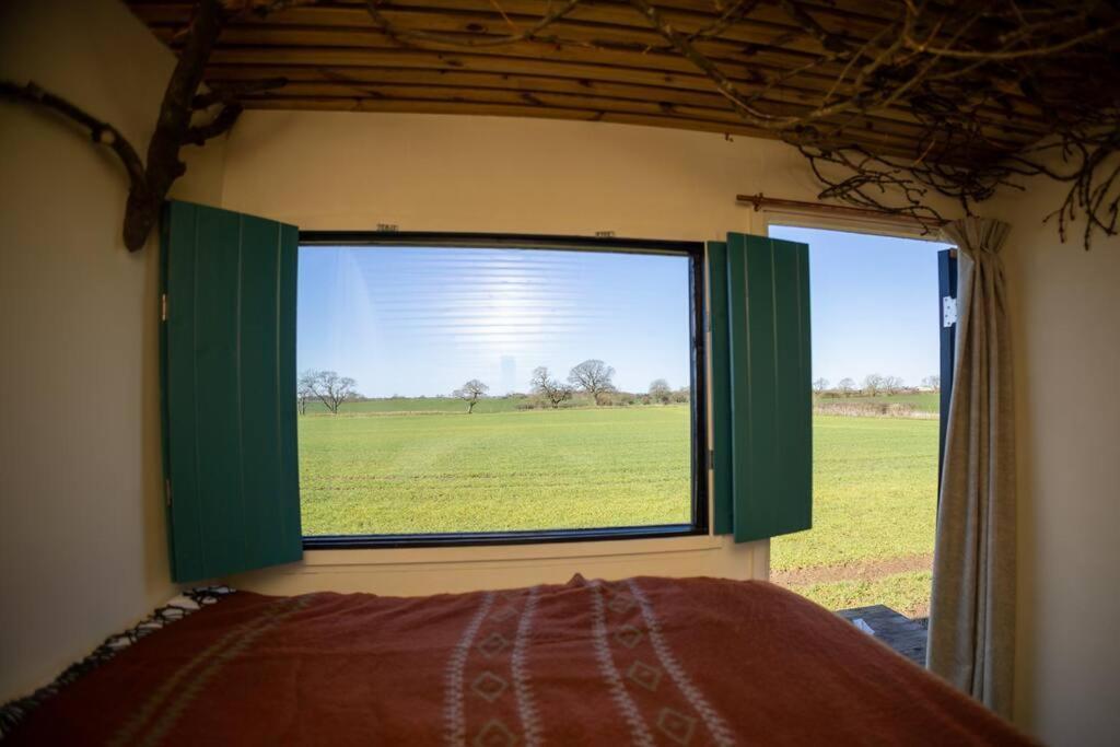 'Pipistrelle' Remote Off-Grid Micro Cabin Villa Sedgefield Eksteriør bilde