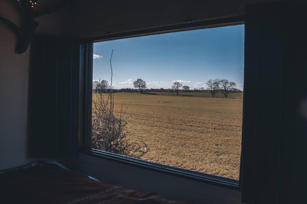 'Pipistrelle' Remote Off-Grid Micro Cabin Villa Sedgefield Eksteriør bilde