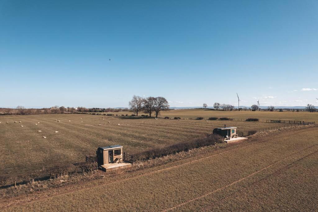 'Pipistrelle' Remote Off-Grid Micro Cabin Villa Sedgefield Eksteriør bilde